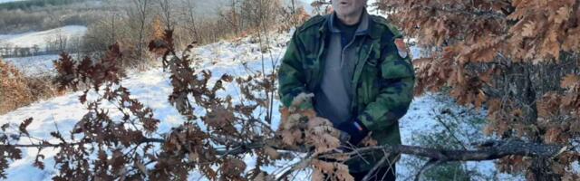 ONI BADNJAK NE KUPUJU NA PIJACI! I najmlađi Mateja čuva tradiciju, pošao sa ocem u šumu (foto, video)