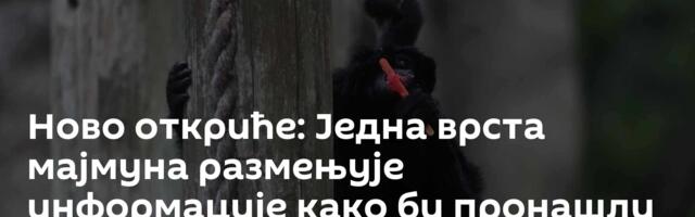 Ново откриће: Једна врста мајмуна размењује информације како би пронашли најбољу храну