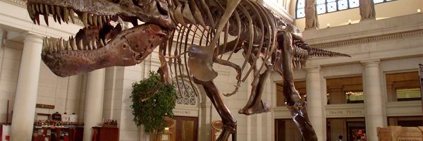 Dinosaurusi bi i dalje dominirali planetom da nije bilo asteroida