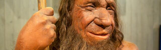 POSLE 40.000 GODINA TIŠINE Naučnici rekonstruisali kako su govorili neandertalci, morate OVO da čujete!