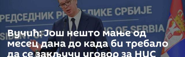 Вучић: Још нешто мање од месец дана до када би требало да се закључи уговор за НИС