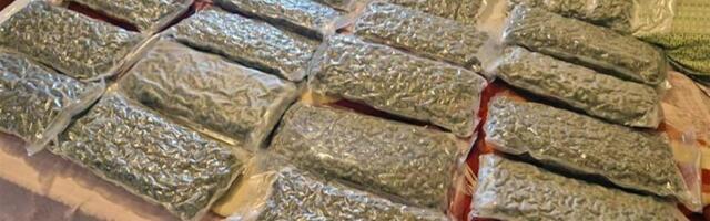 Velika zaplena materije za koju se sumnja da je marihuana, uhapšen 28-godišnjak