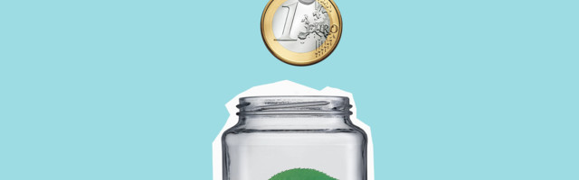 Zeleni fond ne bi mogao da reši zagađen vazduh ni sa svim namenjenim sredstvima