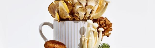 Da li je trend upotrebe suplemenata od pečuraka zaista efikasan?