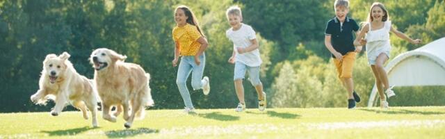 Šta deca najviše pamte iz detinjstva?