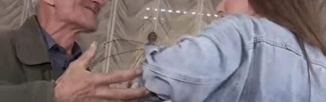 ŠTA SAD RADI NATALIJA DNK KOJU JE DEDA PERVERZNJAK HVATAO ZA ZADNJICU? Ostavila i produkciju i sve, zanemećete