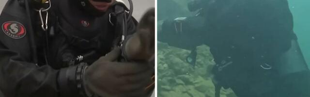 Pod vodom i u najtežim uslovima: Pogledajte kako izgleda obuka ronilaca srpske Žandarmerije