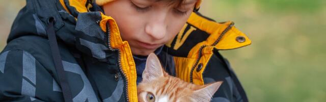 Ima 14 godina i već je glava porodice, a najveća želja mu je da mama odmori: Ona je zdrava, to je sve što imam