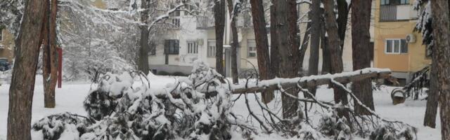 ISTINA O NESTANKU STRUJE U LOZNICI! Tri advokatske kancelarije naplatile 300 MILIONA ODŠTETE za seču drveća u zoni dalekovoda i niskonaponske mreže