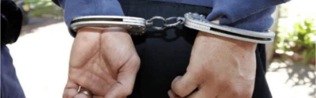 Policajac među 12 uhapšenih u Novom Sadu zbog davanja dokumenata osobama s poternica