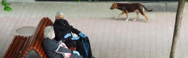 Rad u penzionerskim danima: Koja pravila važe u Srbiji, a koja u regionu?