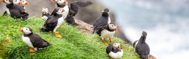 Na ovom ostrvu nema automobila, a do njega se nekad stiže samo helikopterom
