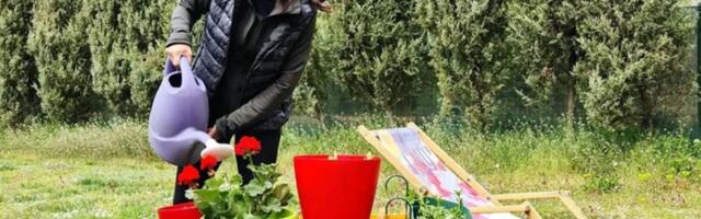 Pronašla mir u raju na obroncima Fruške gore: Naša voditeljka pokazala imanje u prirodi "Još je otplaćujem..."