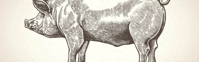 Carinski rat – kako je Kraljevina Srbija postala ekonomski nezavisna