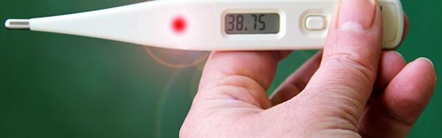 Groznica, bolovi u telu, temperatura 40: Opasan virus registrovan i u ovom delu Srbije