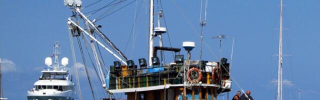 "Majko Isusova" Ribari iz Jadrana izvukli ribu neprirodnog stomaka, a kad su ga zasekli PRIPALA IM MUKA