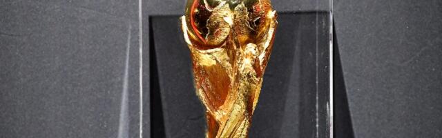 FIFA suspendovala sudiju sa Mundijala zbog optužbi za seksualni napad na maloletnika