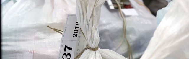 Akcija „Braća Grim“