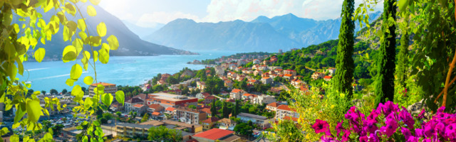 Budućnost crnogorskog ekonomskog tigra