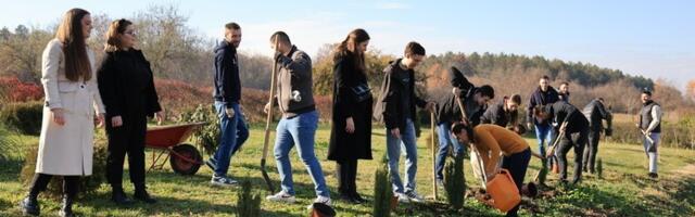 Studenti PMF-a posadili čemprese i tuje u Botaničkoj bašti (FOTO)