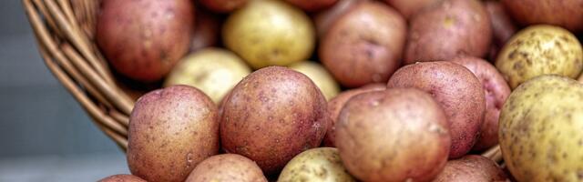 Da li ste znali da vaše omiljeno povrće podiže šećer u krvi brže od čokolade