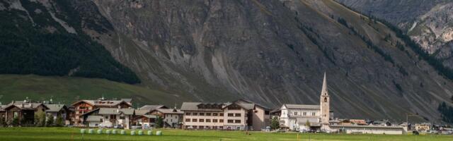 Mesec dana na planini, besplatan smeštaj i 400 evra džeparca: SVE ZA NAUKU! Ovo su detalji neobičnog angažmana