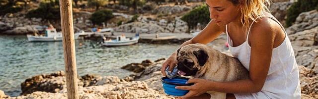 Kako sa psom u Grčku: nova EU pravila za Srbiju i da li se nešto menja