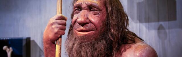 Bebe neandertalaca rasle brže od beba modernih ljudi: Pronađen skelet u pećini - Ovi delovi tela se ne poklapaju