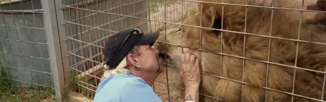 Stiže novi dokumentarac – “Preživeti Džoa Egzotika”