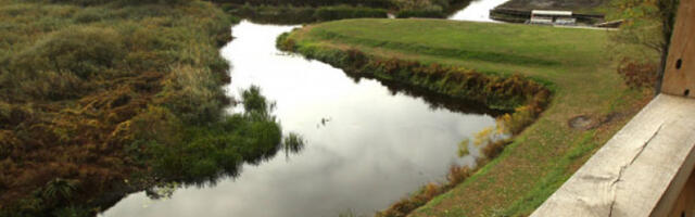 Финска ће поново одобрити лов на вукове 2026. године