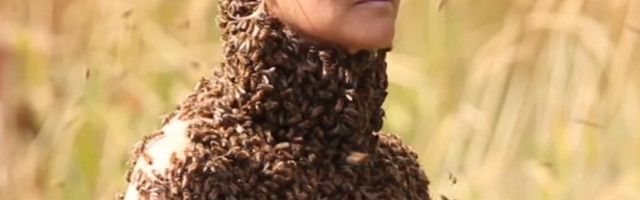 Kako je jedan pop u Srbiji krstio pčele?! (VIDEO)