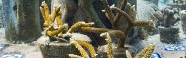 Francuski novi muzej privlači turiste iz celog sveta, poseban je po tome što se ne nalazi na uobičajnom mestu