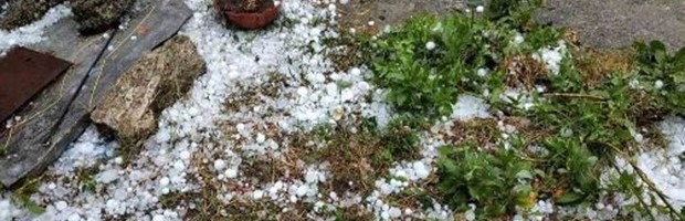 UZ KIŠU PADAO I GRAD