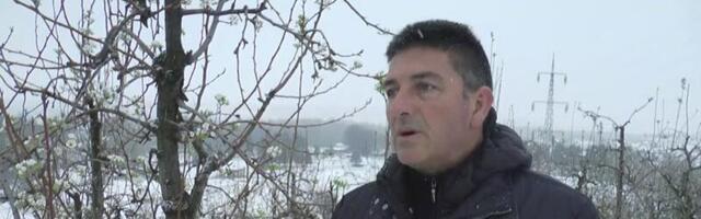 Ерић: У наредним данима биће позната штета на воћним врстама