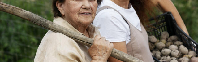 Priručnik za tumačenje reči iz Srema: Koristite ih svaki dan, ali znate li šta su popernjak i frusekle?