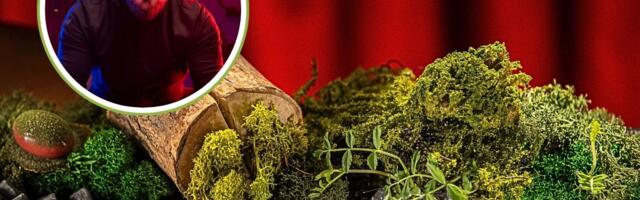 Gastronomski bunt Vladimira Kučere: Delirijum u tišini beogradskog stana