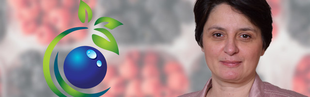 Srpski startap B-Fresh sa inovativnim sistemom pakovanja želi da promeni prehrambenu industriju