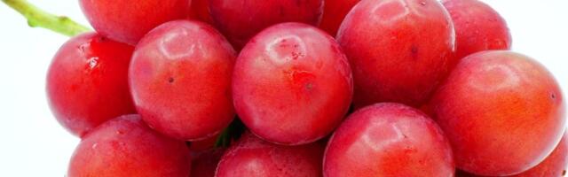 Najskuplje grožđe na svetu: Zrno 400 dolara