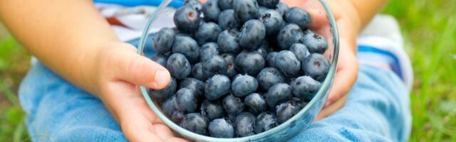 Namirnice korisne protiv urinarnih infekcija