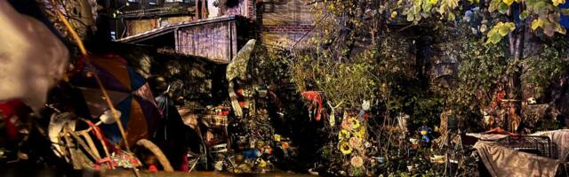 Misterija psa koji zavija na Banovom Brdu rešena danas: Kuća bila puna smeća i izmeta, evo šta se desilo