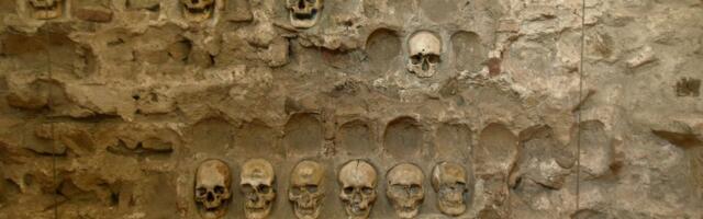 Simonović: Utvrđeno da su u Ćele-kulu zazidane lobanje muškaraca, i mladih i starih