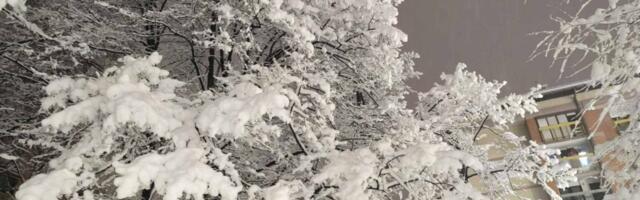 Železnice Srbije tvrde: Saobraćaj bez većih zastoja i problema