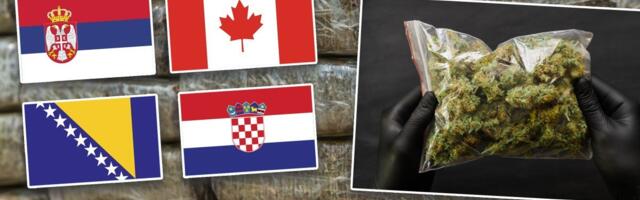 Žestok udar na narko-klanove Balkana: Presečena ruta Kanada–Ploče, zaplenjeno preko 140 kila marihuane