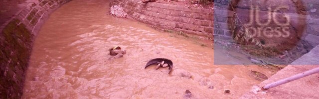 „Vodovod“ i „Komrad“ zbog poplava u neprekidnom dežurstvu