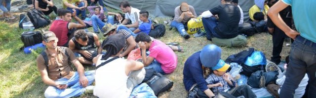 VELIKA AKCIJA NA TRI BEOGRADSKE OPŠTINE! Policija pronašla 90 ilegalnih migranata, hitno sprovedeni u Prihvatni centar u Preševu!