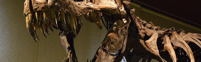 Skelet dinosaurusa prodat za 6,6 miliona evra