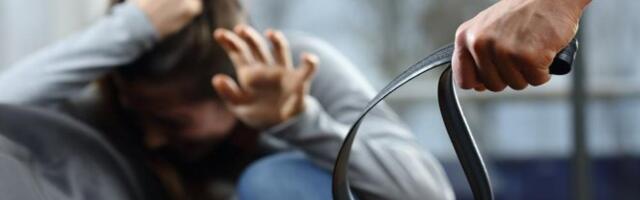 BATINAMA OSLEPEO ŽENU, SUD MU KAZNU POVEĆAO! Bezobzirni sliledžija iz Velike Plane, ROBIJAĆE DVE GODINE DUŽE!