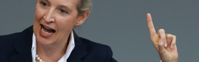 Вајдел: Немачка тоне као „Титаник“