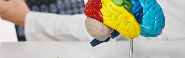 Revolucionarno otkriće: Ključne razlike u mozgovima koji odolevaju Alchajmeru