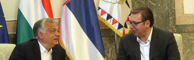 Piše Goran Kaluđerović: Kralj ameba